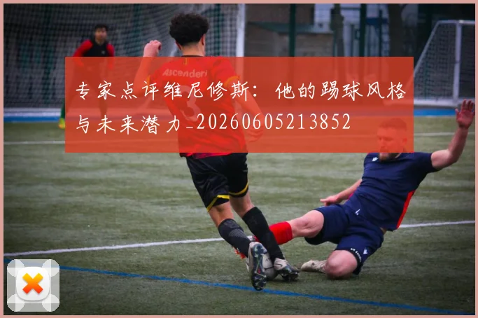 专家点评维尼修斯:他的踢球风格与未来潜力_20260605213852