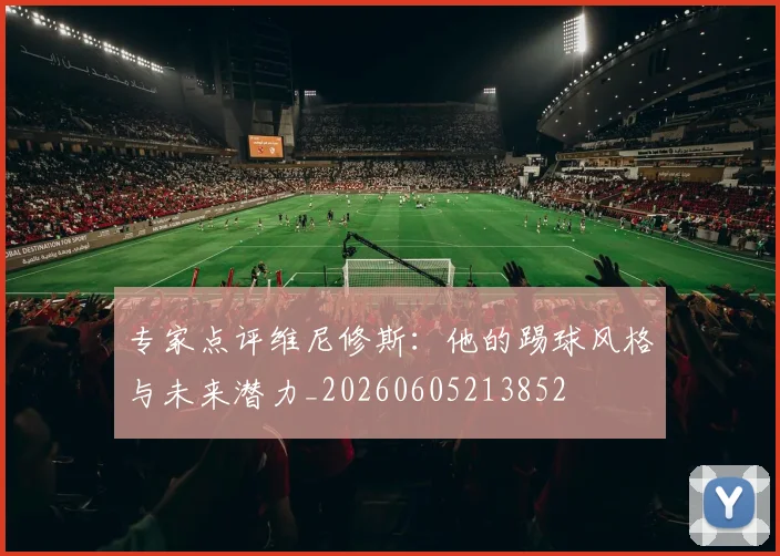 专家点评维尼修斯:他的踢球风格与未来潜力_20260605213852